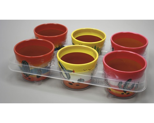 Šesť maľovaných kvetináčov v priehľadnom plastovom obale