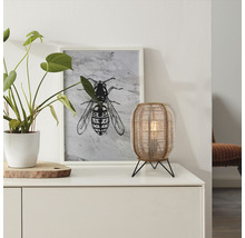 Stolová lampa Brilliant Tanah E27 40 W čierna/prírodná