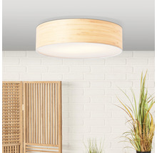 Stropné svietidlo Brilliant Romm 2xE27 60 W biele/prírodné