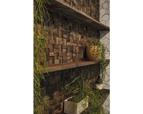 Nástenná dekorácia s drevenými panelmi a policami zdobenými rastlinami.