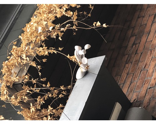 Veterná korouhvička na budove s tehlovou stenou a brečtanom