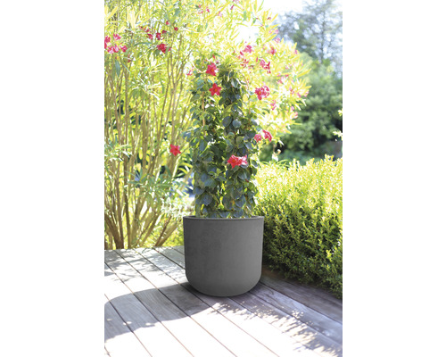 Kvetináč s kvitnúcou rastlinou na drevenej terase