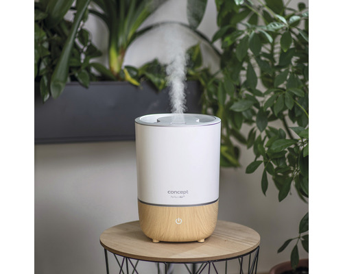 Zvlhčovač vzduchu s parou na stole