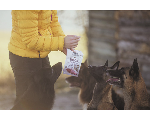 Osoba kŕmi psy psími maškrtami Brit Duck Protein Bar.