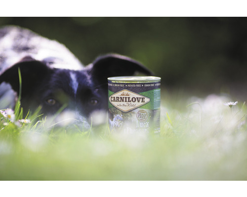 Konzerva krmiva pre psov Carnilove s kačicou v tráve so psom