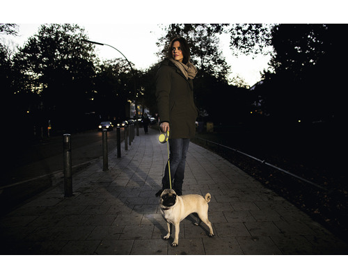 Žena prechádza mopslíka na rolovacom vodítku na chodníku.