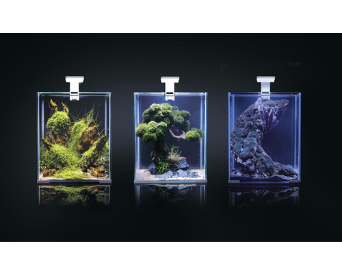 Tri zdobené akváriá s osvetlením