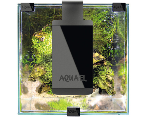 Akvárium s LED osvetlením a rastlinami