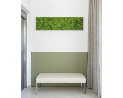 Interiér s machovým obrazom na stene, lavicou a závesom