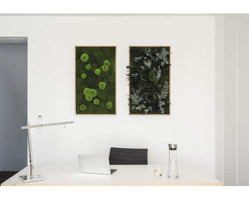 Kancelária so stolom, notebookom a dvoma nástennými obrazmi s machom a rastlinami