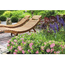 Dve drevené ležadlá v záhrade s kvetinami