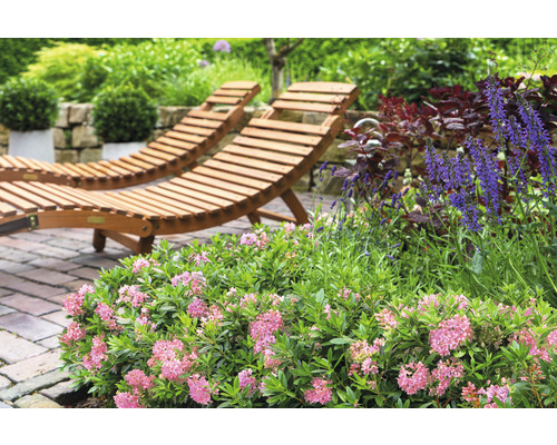 Dve drevené ležadlá v záhrade s kvetinami