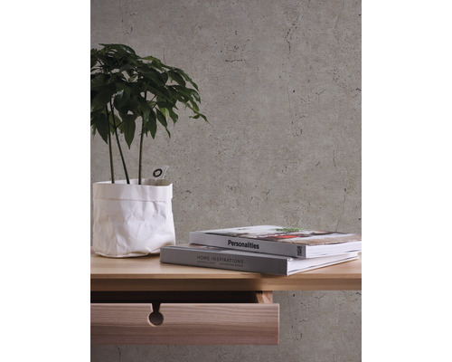 Izba s rastlinou, knihami a dreveným nábytkom pred tapetou