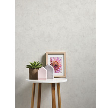 Dekoratívna scéna s rastlinou, domčekmi a zarámovaným obrázkom na stole pred štruktúrovanou stenou