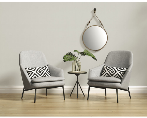 Obývacia izba s dvoma kreslami, odkladacím stolíkom, zrkadlom a izbovými rastlinami na ozdobu.