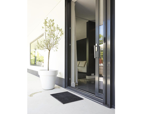 Scéna s terasovými dverami, rastlinou v kvetináči a rohožkou.