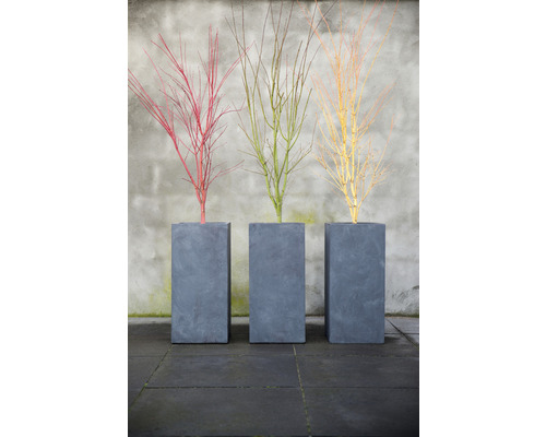 Tri štíhle sivé kvetináče s okrasnými konármi v červenej, zelenej a žltej farbe.