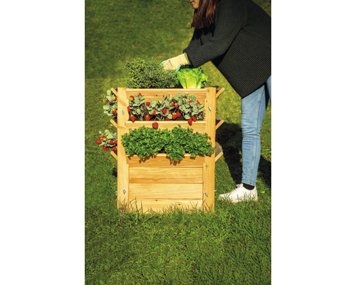 Drevený vyvýšený záhon s jahodami, šalátom a bylinkami v záhrade