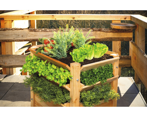 Drevený vyvýšený záhon s rôznou zeleninou na terase