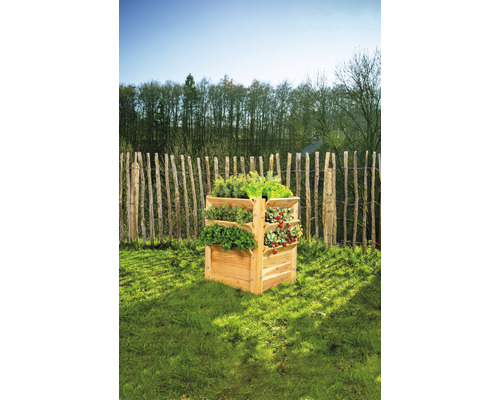 Drevený vyvýšený záhon s bylinkami a rastlinami v záhrade.