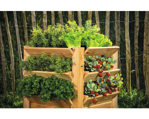 Drevený vyvýšený záhon s jahodami, šalátom a bylinkami