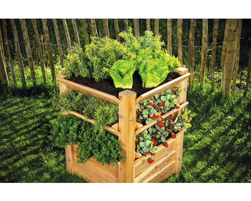 Viacposchodový, trojuholníkový drevený bylinkový záhon so šalátom, jahodami a bylinkami