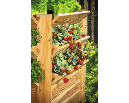 Drevený vyvýšený záhon s jahodami, šalátom a bylinkami