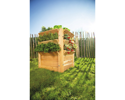 Drevený vyvýšený záhon s rôznymi rastlinami v záhrade