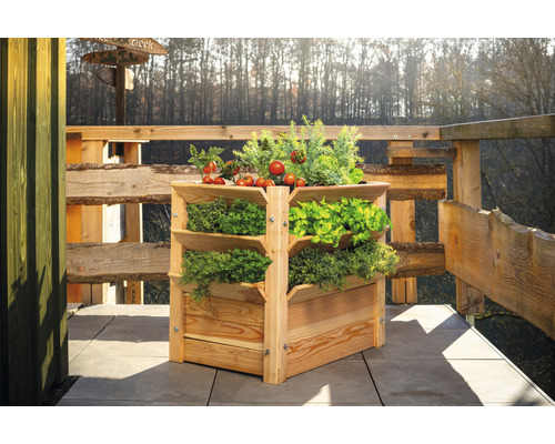 Drevený vyvýšený záhon s niekoľkými úrovňami a rôznymi bylinkami a zeleninou.