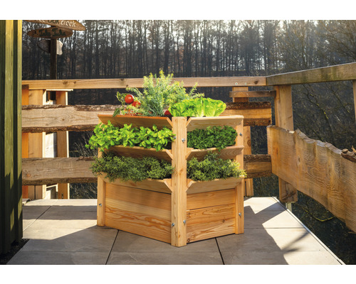 Drevený hrantík na rastliny so zeleninou na terase