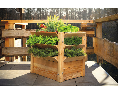 Drevený vyvýšený záhon s rôznymi bylinkami a zeleninou