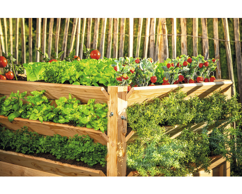 Vyvýšený záhon so šalátom, paradajkami, jahodami a bylinkami