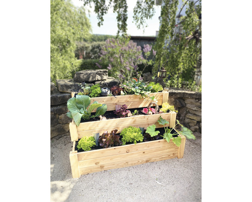Trojúrovňový drevený vyvýšený záhon osadený zeleninou v záhrade.