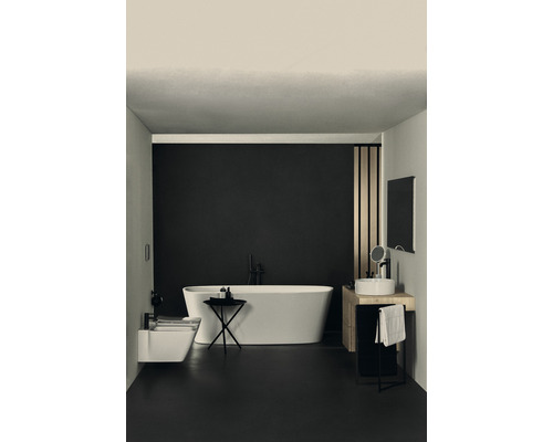 Kúpeľňa s voľne stojacou vaňou, umývadlom a bidetom