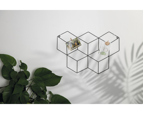 Dekoratívny nástenný držiak z kovu s fotografiami a rastlinou