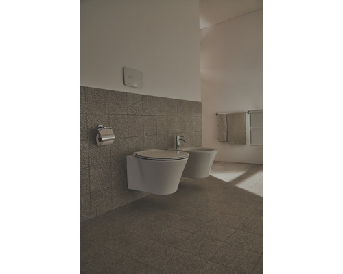 Kúpeľňa s nástenným splachovacím záchodom a bidetom