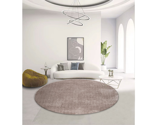 Obývacia izba s okrúhlym kobercom, pohovkou a dekoráciou