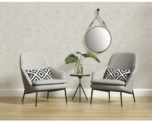 Obývacia izba s dvomi kreslami, odkladacím stolíkom, zrkadlom a izbovou rastlinou