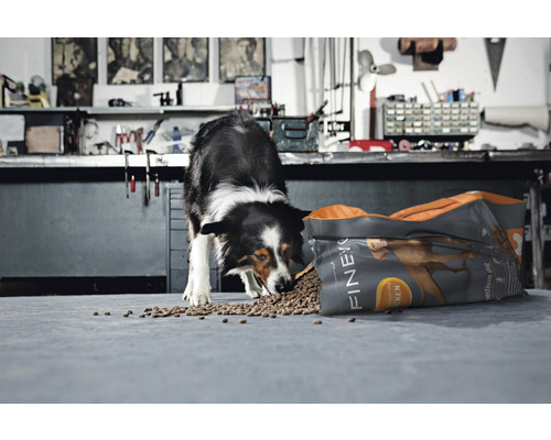 Border kólia je krmivo pre psov z otvoreného balenia značky Finevo.