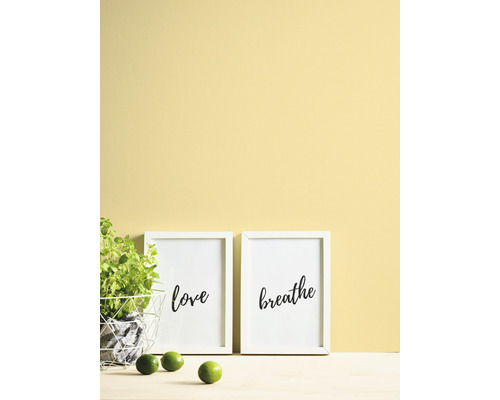 Dekoratívna scéna s dvoma zarámovanými umeleckými výtlačkami, črepníkovou rastlinou a limetkami na farebnej stene