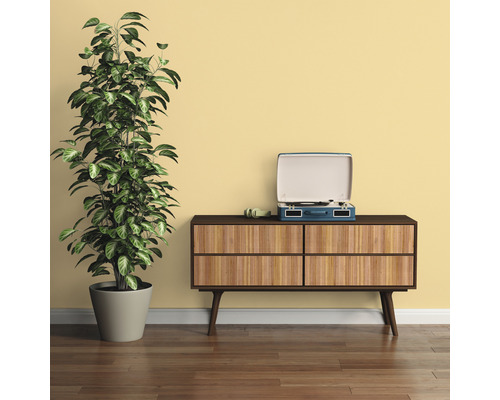 Obývacia izba so skrinkou, izbovou rastlinou a gramofónom