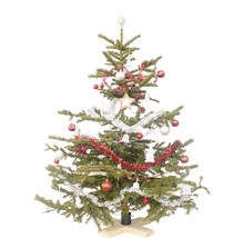 Ozdobený vianočný stromček s guľami, strapcami, hviezdou a špicou