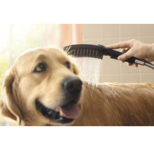 Ručná sprcha hansgrohe DogShower 150 x 63 mm čierna 26640670