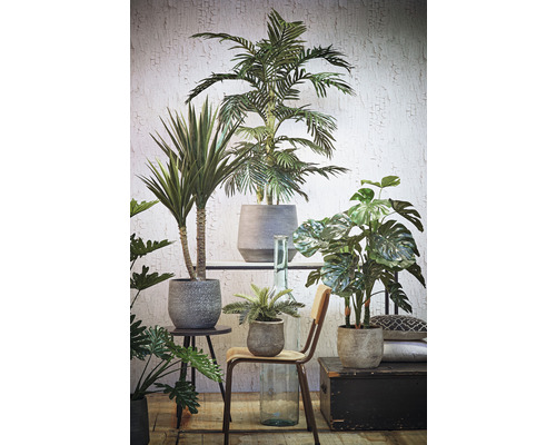 Aranžmán rôznych izbových rastlín v kvetináčoch