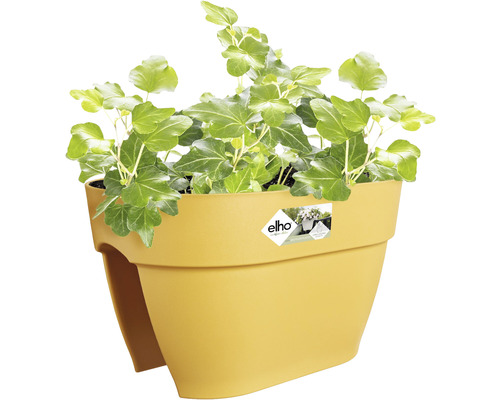 Žltý balkónový kvetináč s brečtanom