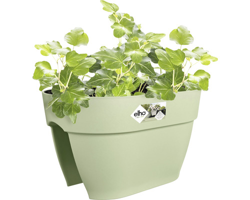 Balkónový kvetináč s brečtanom