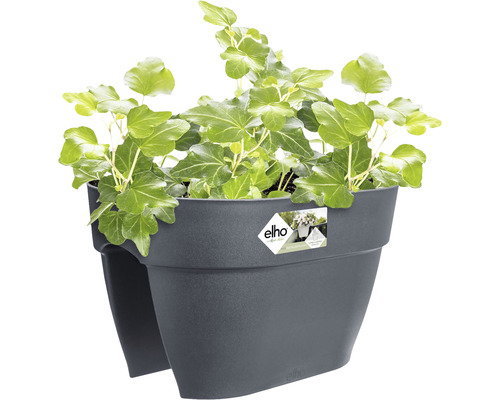 Tmavosivý kvetináč Elho s brečtanom