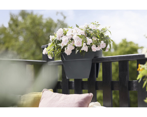Kvetináč na zábradlí balkóna s plnou výsadbou