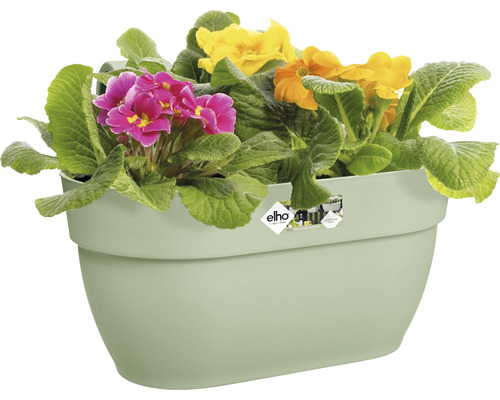 Závesný kvetináč s farebnými prvosienkami