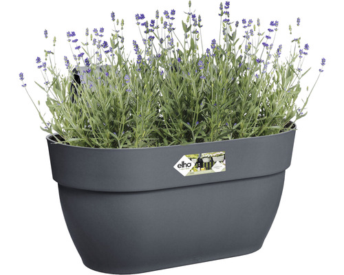 Sivý kvetináč s levanduľou
